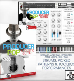 Producer Pop Acoustic Guitar